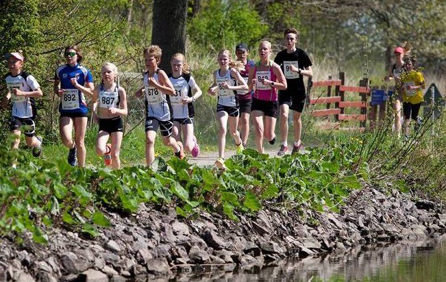 k2016 1.jpg (118879 bytes)